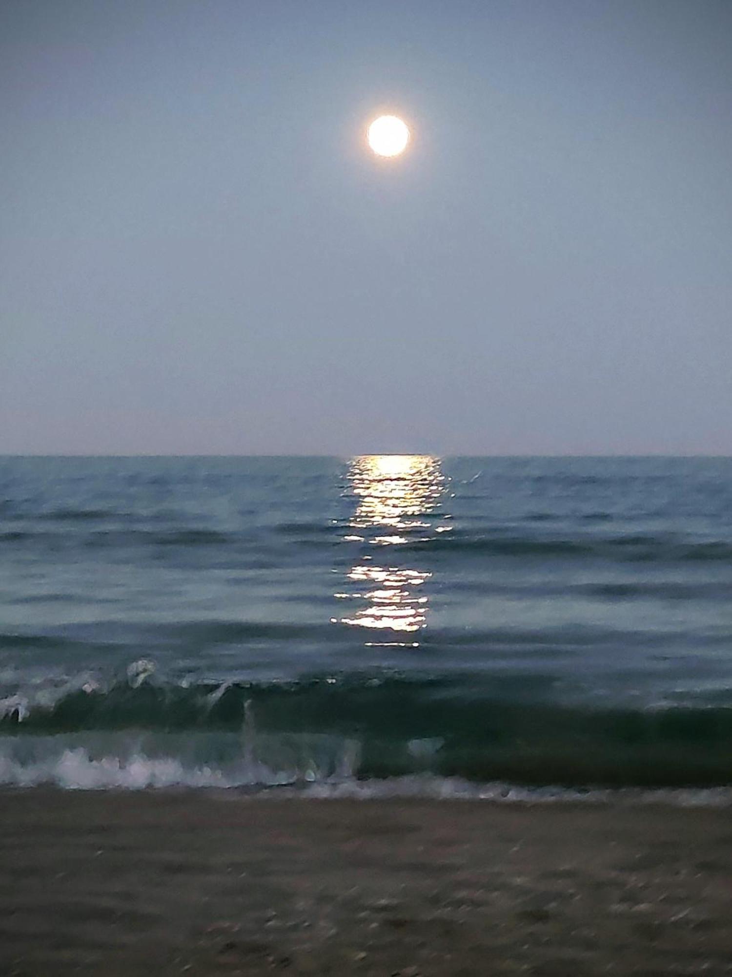 Cullera Confort Playa 외부 사진