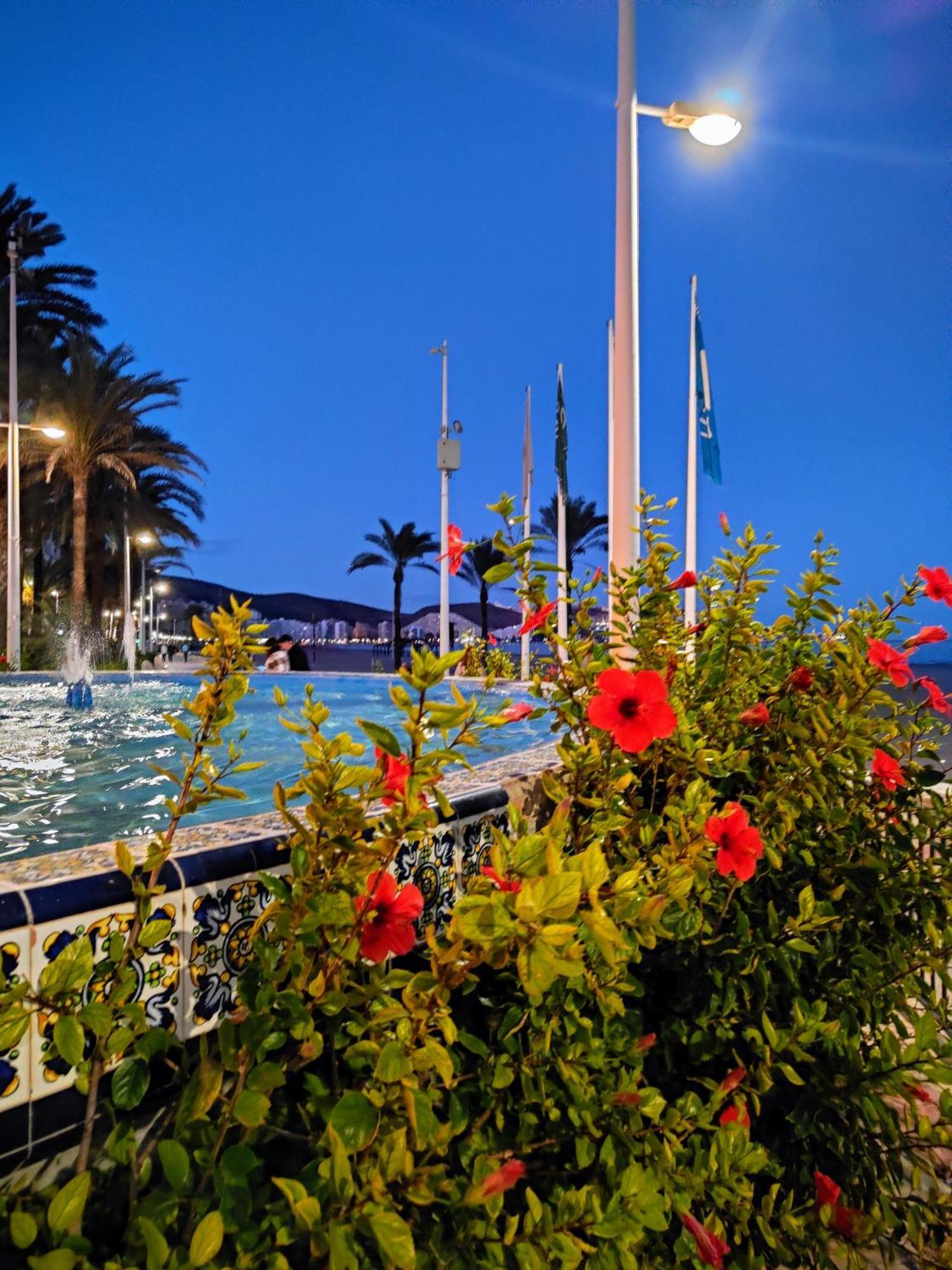 Cullera Confort Playa 외부 사진